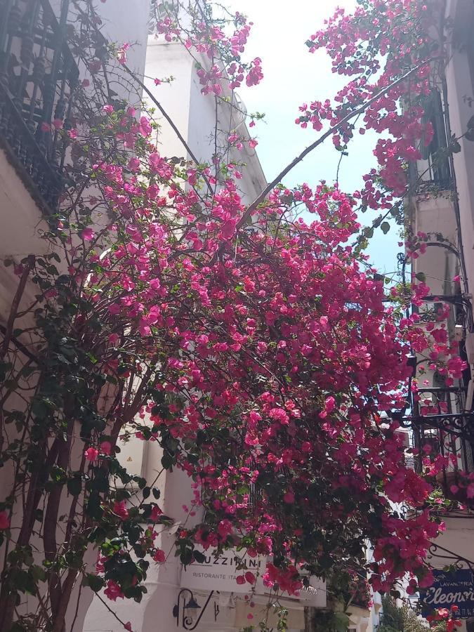 Apartmán Precioso Y Acogedor Atico Old Town Marbella Exteriér fotografie